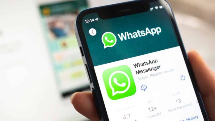 meta-freia-ads-no-whatsapp-after-government-aviso