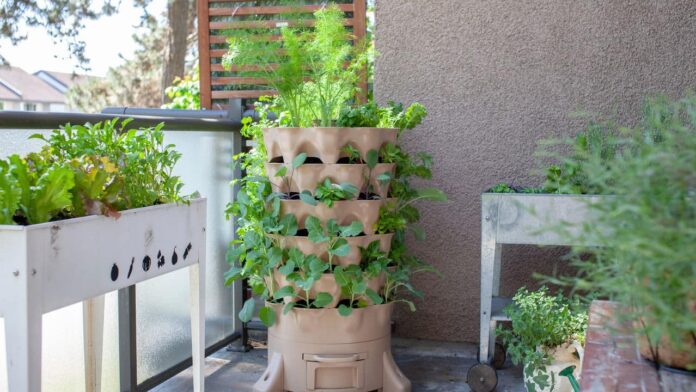 a-nova-moda-entre-aqueles-que-vivem-em-apartamento-e-plantas-de-amor!
