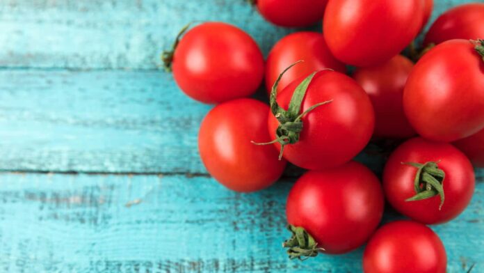o-truque-caseiro-simples-que-torna-seus-tomates-mais-fortes-e-saudaveis