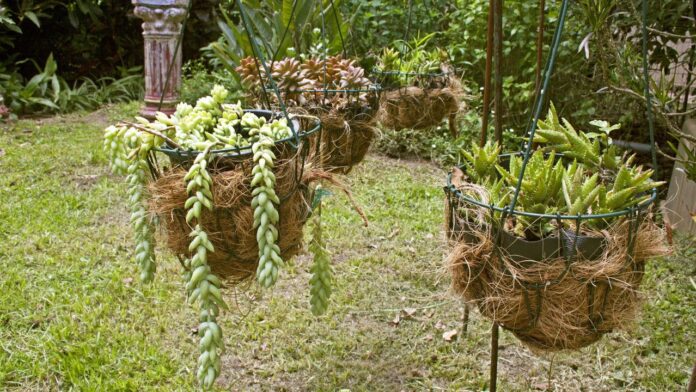 veja-passo-a-passo-para-transformar-fios-e-pedras-simples-em-um-vaso-de-planta-incrivel