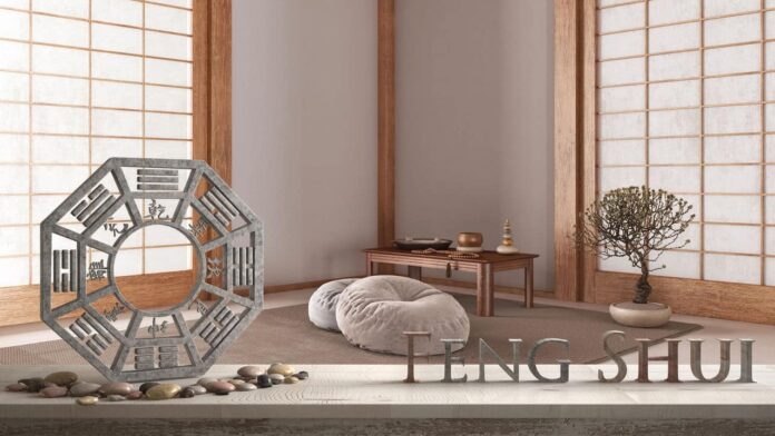 o-especialista-em-feng-shui-revela-se-as-plantas-devem-dar-azar
