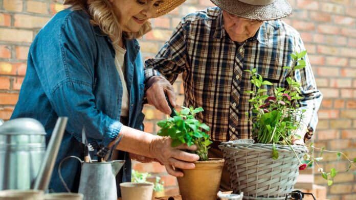 esta-fruta-cheia-de-beneficios-a-saude-pode-ser-facilmente-cultivada-em-sua-casa