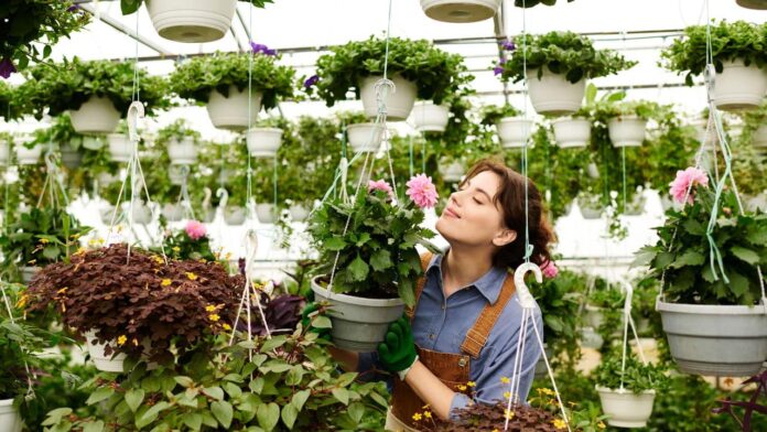 as-3-plantas-medicinais-simples-que-qualquer-um-pode-cultivar-em-casa