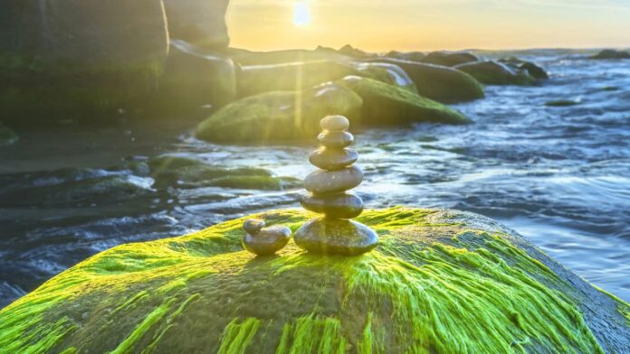 12-feng-shui-dicas-para-aumentar-a-energia-de-cada-sinal
