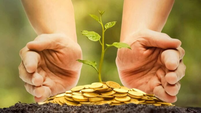 a-planta-que-simboliza-a-prosperidade-e-atrai-boas-energias-para-sua-casa