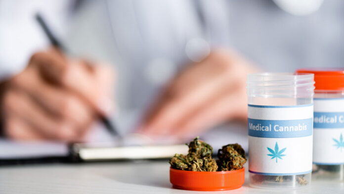 anvisa-proibe-os-produtos-mais-populares-de-cannabis-e-cogumelos