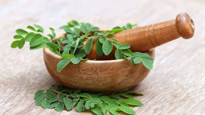 o-segredo-da-milenar-planta-que-se-tornou-a-solucao-preferida-para-cabelos-oleosos