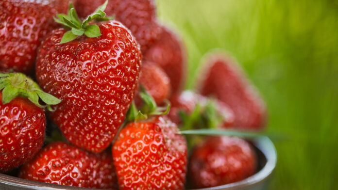 como-limpar-morangos-corretamente-e-garantir-frutas-seguras-para-a-saude-da-sua-familia