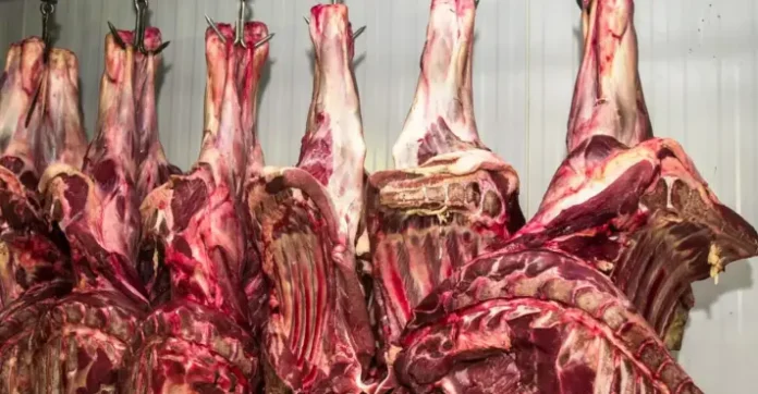 eua-poupam-cafe-e-carne-bovina-brasileira-de-nova-tarifa-apos-investigacao-comercial
