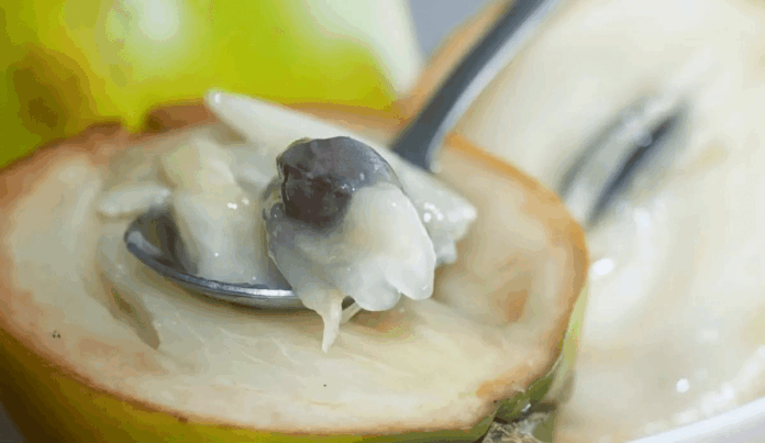 parece-mamao,-mas-tem-sabor-surpreendente:-conheca-o-abiu,-“sobremesa-da-natureza”